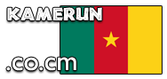 Domain Dienste -> co.cm fr 20,47 € - Laufzeit und Abrechnung  1 Jahr. ( Kamerun )