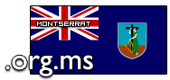 Domain Dienste -> org.ms fr 39,00 € - Laufzeit und Abrechnung  1 Jahr. ( Montserrat )